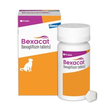 Bexacat (bexagliflozin tablets) Diabetes Mellitus Treatment for Cats 6.6 lbs & Over 15 mg Tablet 90ct-product-tile