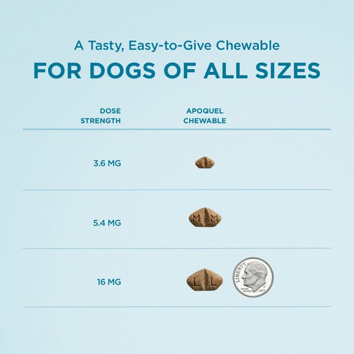 13392 product detail number 1.0