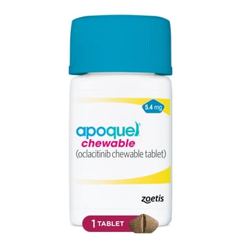 Apoquel (oclacitinib chewable tablet) Chewable for Dogs-product-tile