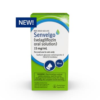 Senvelgo Oral Solution for Cats 15mg/mL 30 mL-product-tile