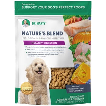 Dr. Marty Nature's Blend Healthy Digestion Freeze Dried Raw Dog Food - 16 oz Bag-product-tile