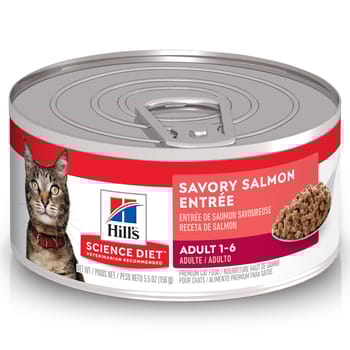 Hill's Science Diet Adult Savory Salmon Entree Wet Cat Food - 5.5 oz Cans - Case of 24-product-tile