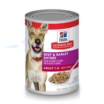 Hill's Science Diet Adult Beef & Barley Entree Wet Dog Food - 13 oz Cans - Case of 12-product-tile