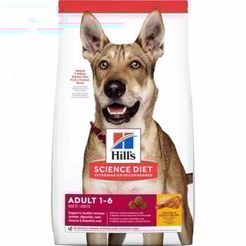 Hill's Science Diet Adult Chicken & Barley Dry Dog Food - 15 lb Bag-product-tile