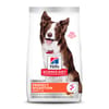 Hill's Science Diet Adult Perfect Digestion Chicken, Barley & Whole Oats Dry Dog Food - 12 lb Bag