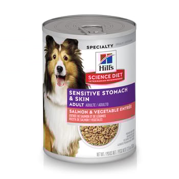 Hill's Science Diet Adult Sensitive Stomach & Skin Salmon & Vegetable Entree Wet Dog Food - 12.8 oz Cans - Case of 12-product-tile