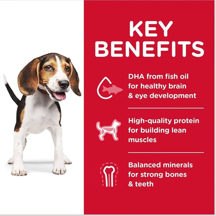 13669 product detail number 1.0