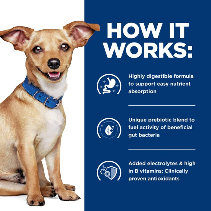 13856 product detail number 1.0