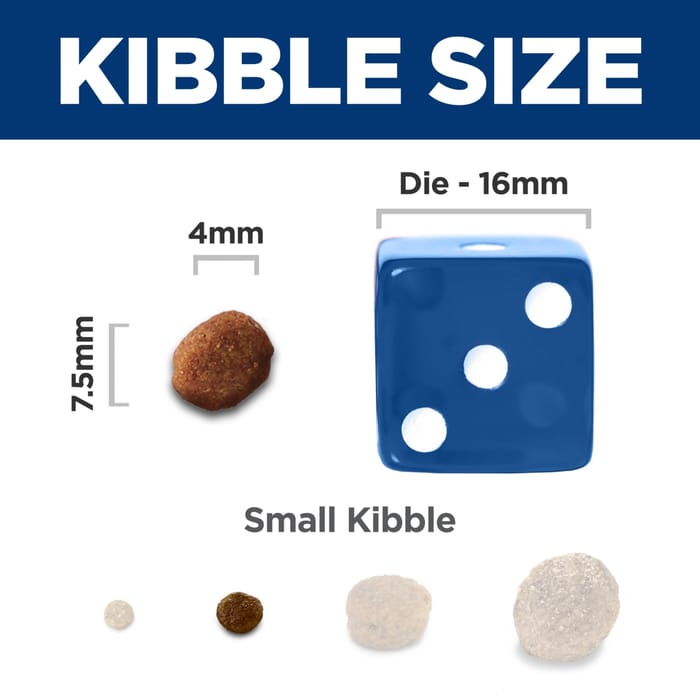 13856 product detail number 1.0