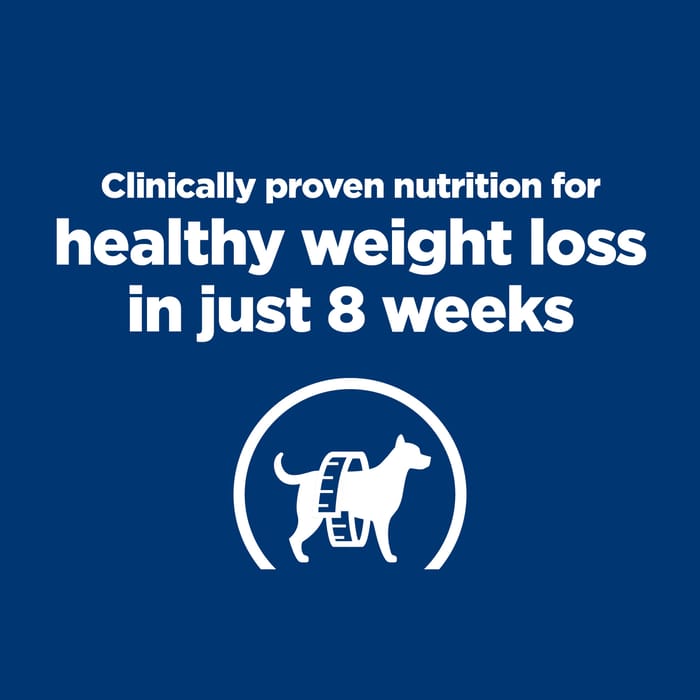 13905 product detail number 1.0