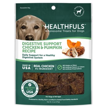 Healthfuls Digestive Support Chicken & Pumpkin Recipe Dog Treats - 6 oz Bag-product-tile