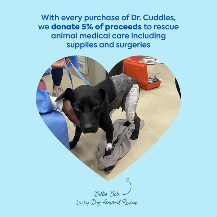 13966 product detail number 1.0