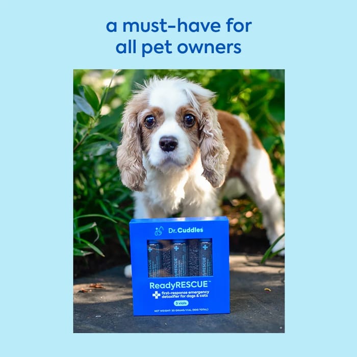 13966 product detail number 1.0