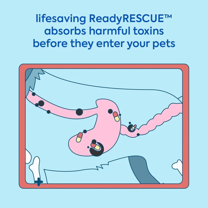 13966 product detail number 1.0