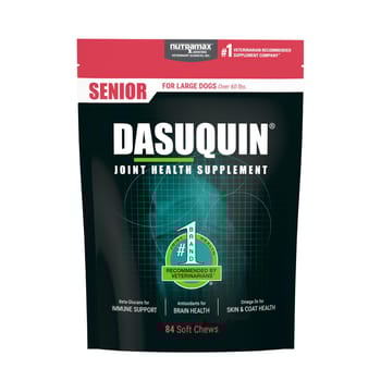 Nutramax Dasuquin® New Senior Joint Health Supplement Soft Chews for Senior Dogs-product-tile