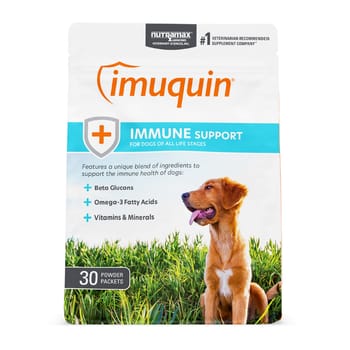 Nutramax Imuquin® Immune Support Powdered Supplement for Dogs - 30 Packets-product-tile