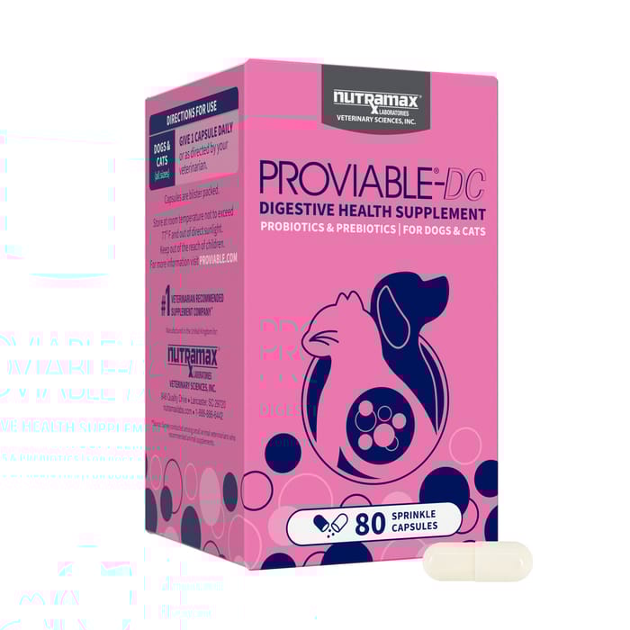 Nutramax Proviable Probiotics for Dogs and Cats Daily Digestive Health Supplement with Multiple Strains of Bacteria Cat and Dog Probiotics Plus Prebiotic - 80 Capsules product detail number 1.0