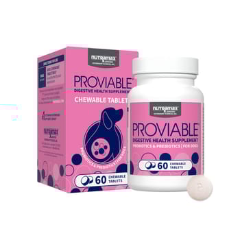 Nutramax Proviable Probiotics for Dogs Daily Digestive Health Supplement with Multiple Strains of Bacteria Dog Probiotics Plus Prebiotics - 60 Count-product-tile