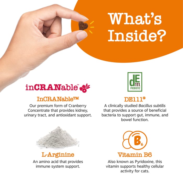 14042 product detail number 1.0