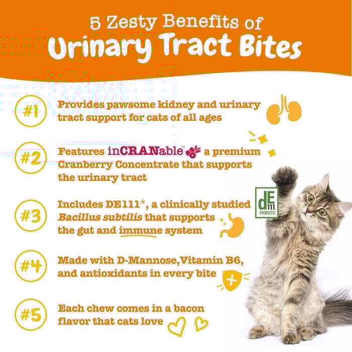 14042 product detail number 1.0