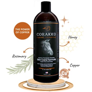 Curry on a Stik Corakko Equine Shampoo - 16 oz Bottle-product-tile