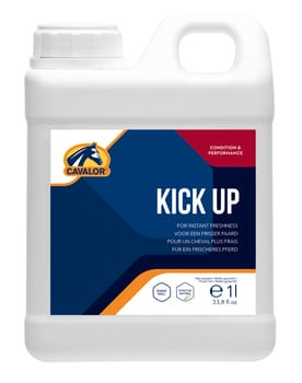 Cavalor Kick Up Liquid Energy Supplement for Horses - 1000 mL-product-tile