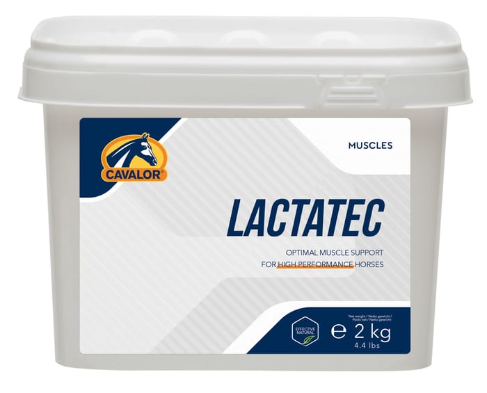 Cavalor Lactatec Muscle Recovery Supplement for Horses - 2kg product detail number 1.0