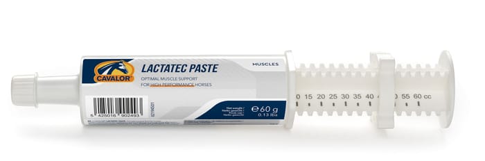 Cavalor LacaTec Muscle Recovery Paste for Horses - 6 x 60 mL (6 Pack) product detail number 1.0