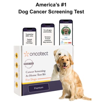 Oncotect At-Home Cancer Screening Test Kit for Dogs - Premium Test Kit-product-tile