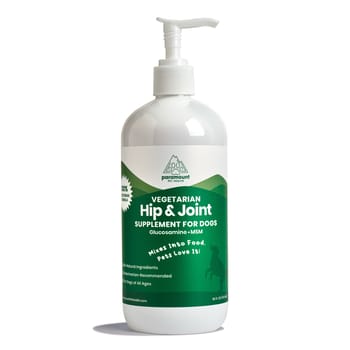 Paramount Pet Health Vegetarian Glucosamine for Dogs - 16 oz Bottle-product-tile