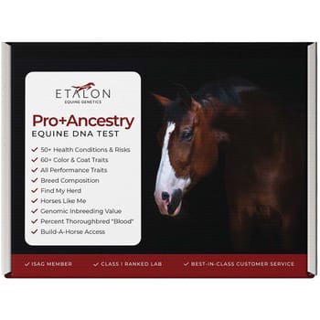 Etalon Equine Genetics Pro Package + Ancestry Bundle - Test Kit-product-tile