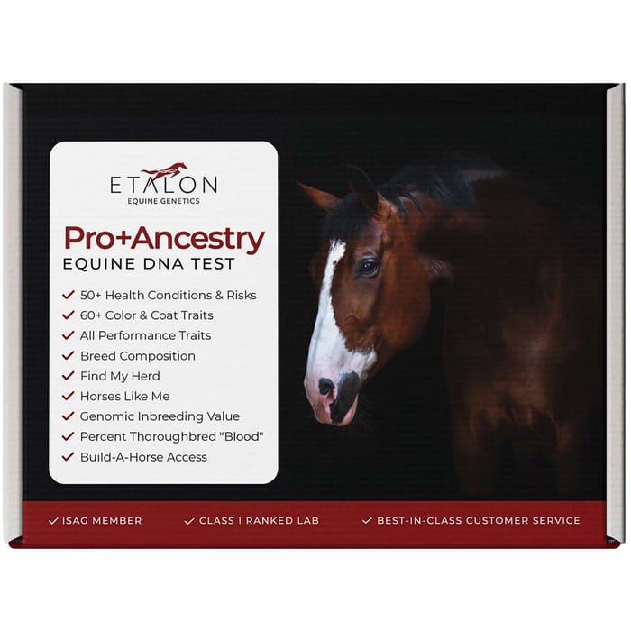 Etalon Equine Genetics Pro Package + Ancestry Bundle - Test Kit product detail number 1.0