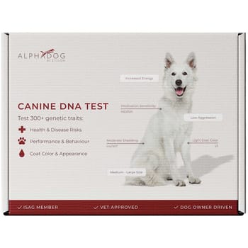 AlphaDog DNA The Essential Canine DNA Test - Test Kit-product-tile