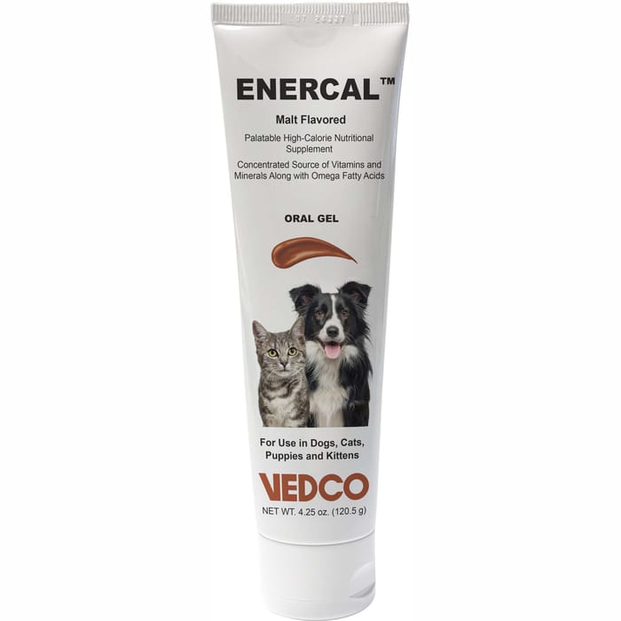 EnerCal Weight Gain & Recovery Oral Gel for Dogs & Cats - Malt Flavor - 4.25 oz product detail number 1.0