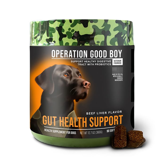 Operation Good Boy SRE - Gut Health Supplement for Dogs - 90 ct Jar product detail number 1.0