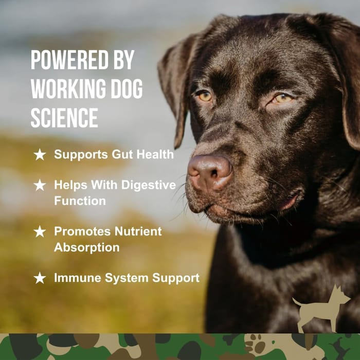 14355 product detail number 1.0