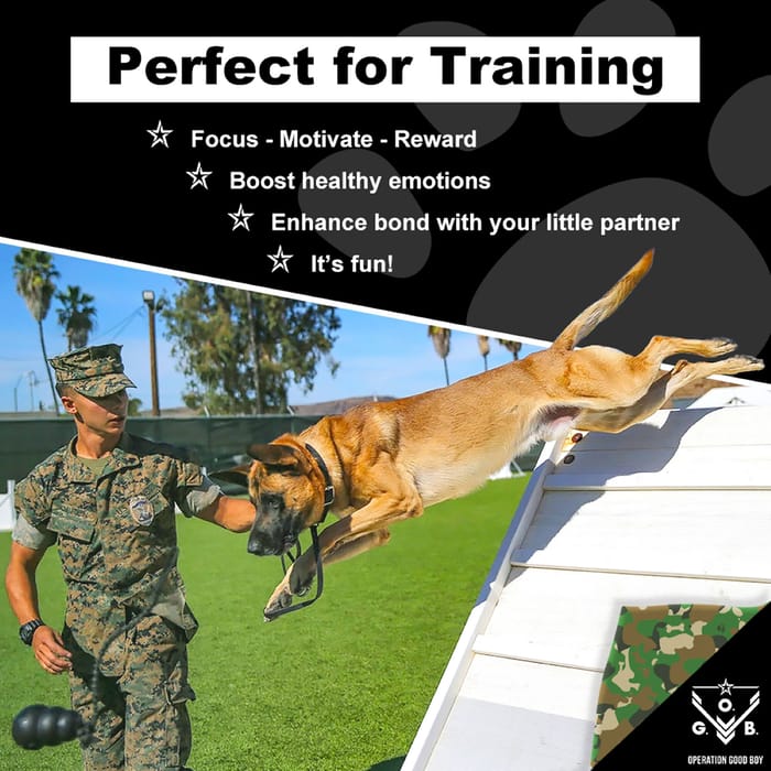 14362 product detail number 1.0