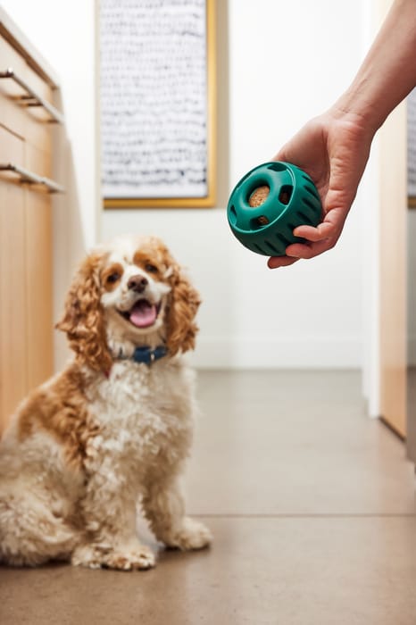 14402 product detail number 1.0