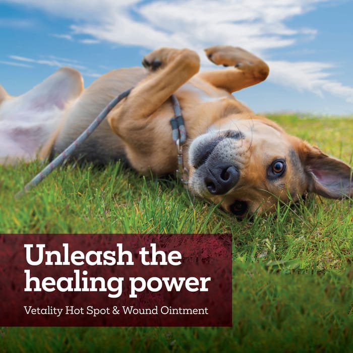 14430 product detail number 1.0