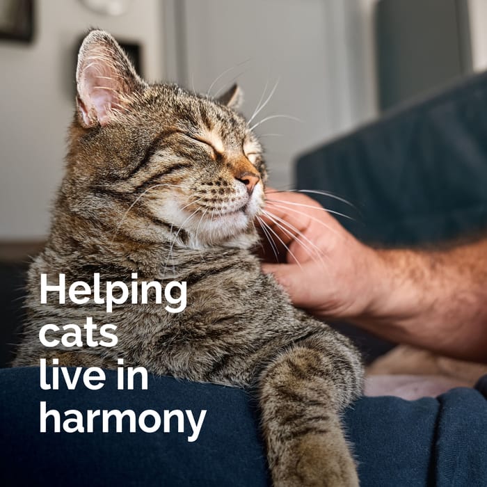 14446 product detail number 1.0