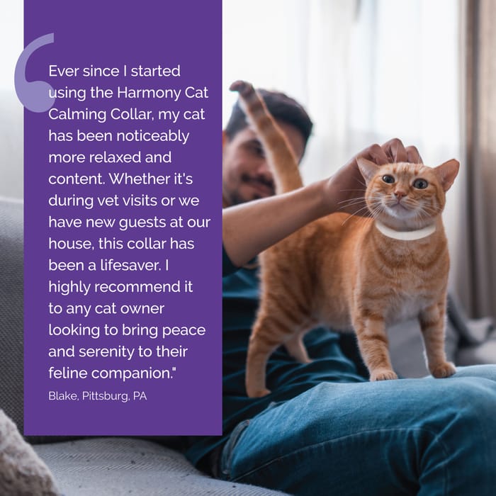 14448 product detail number 1.0