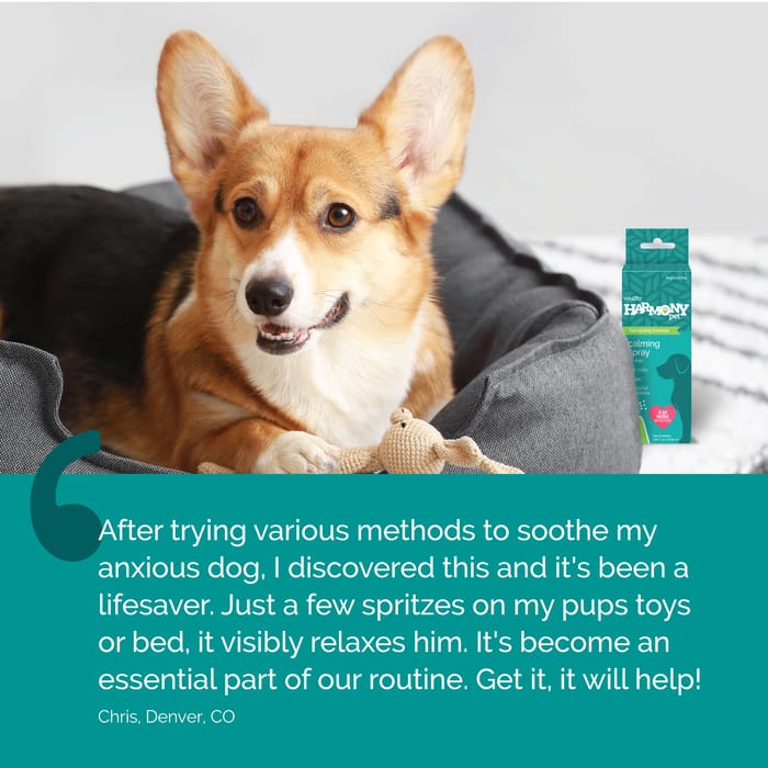 14451 product detail number 1.0