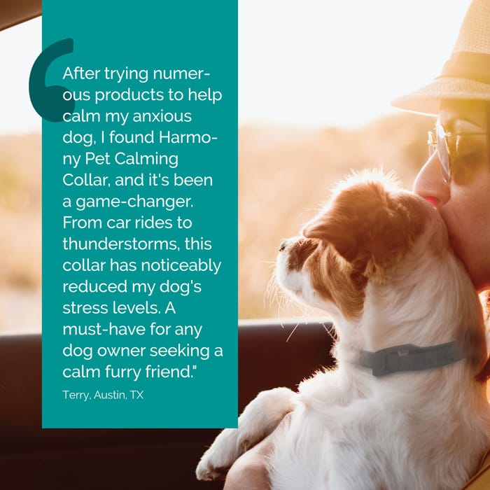 14452 product detail number 1.0