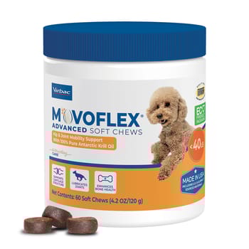 MOVOFLEX Advanced Chews Joint Supplement for Dogs-product-tile