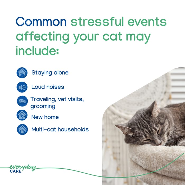 14691 product detail number 1.0