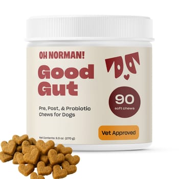 OH NORMAN! Good Effing Gut Probiotic Chews for Dogs - 9.5oz-product-tile