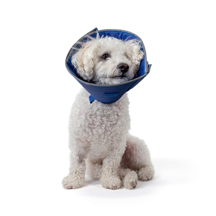 14762 product detail number 1.0