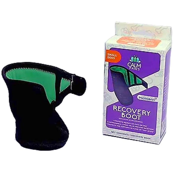 Calm Paws Recovery Boot for Dogs -   Small product detail number 1.0