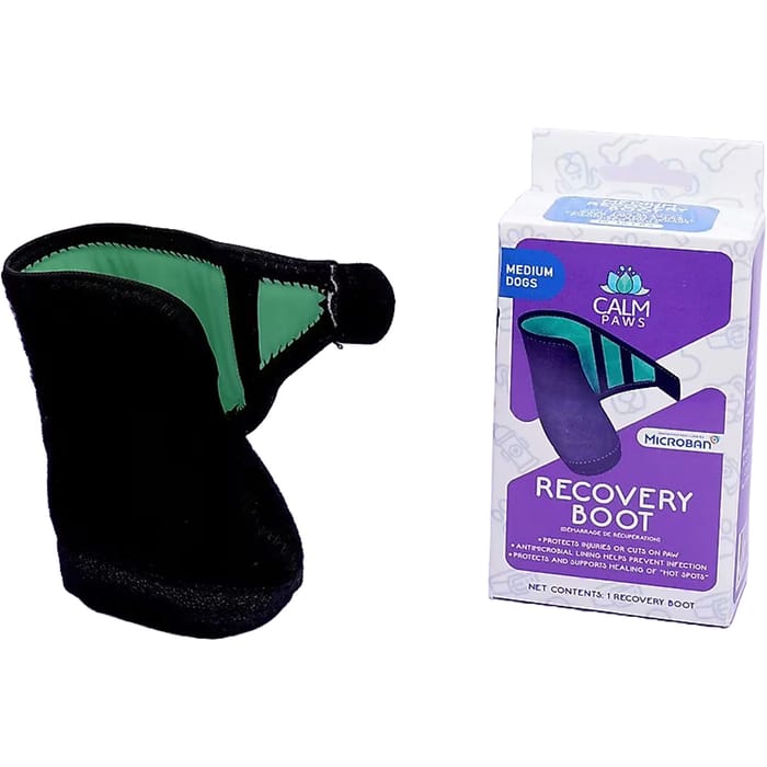 Calm Paws Recovery Boot for Dogs -   Medium product detail number 1.0
