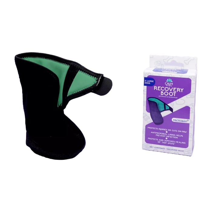 Calm Paws Recovery Boot for Dogs -   X-Large product detail number 1.0